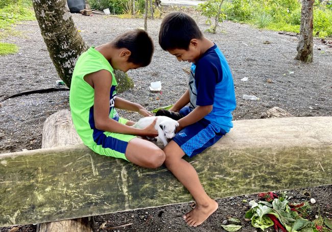 Screen Shot 2022-08-08 at 4.32.52 PM